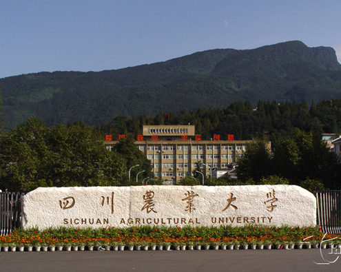 四川農業(yè)大學(xué)